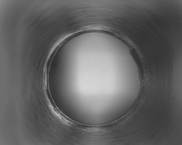 X0000085731132200703160829