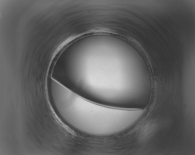 X0000085731133200703160829