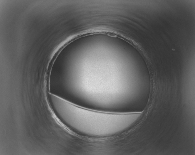 X0000085731134200703160829