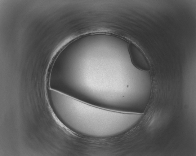 X0000085731135200703160829