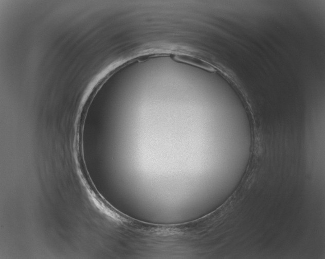 X0000085731136200703160829