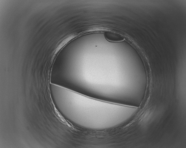 X0000085731137200703160829