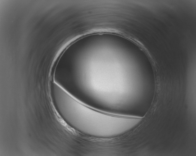 X0000085731140200703160829