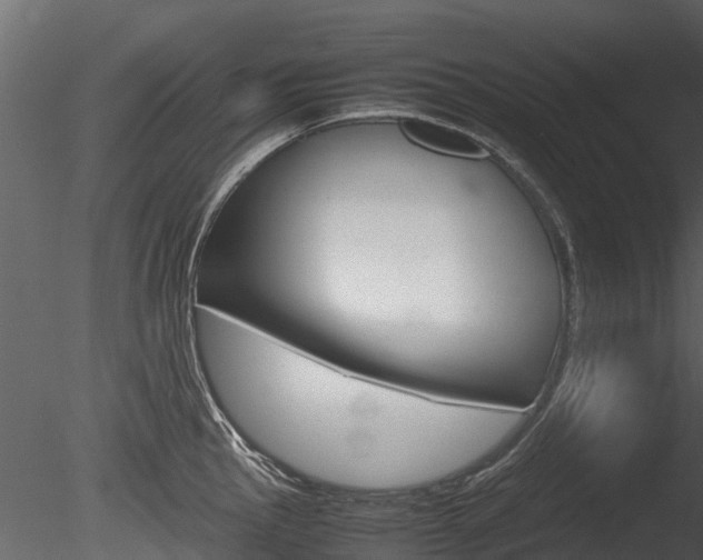 X0000085731145200703160830