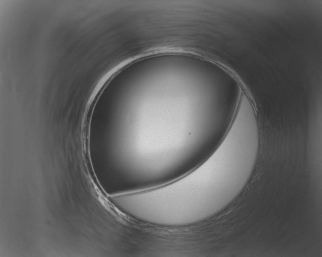 X0000085731148200703160830