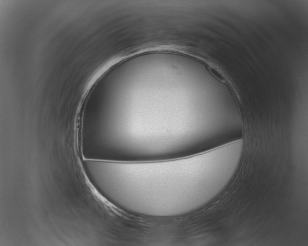 X0000085731151200703160830