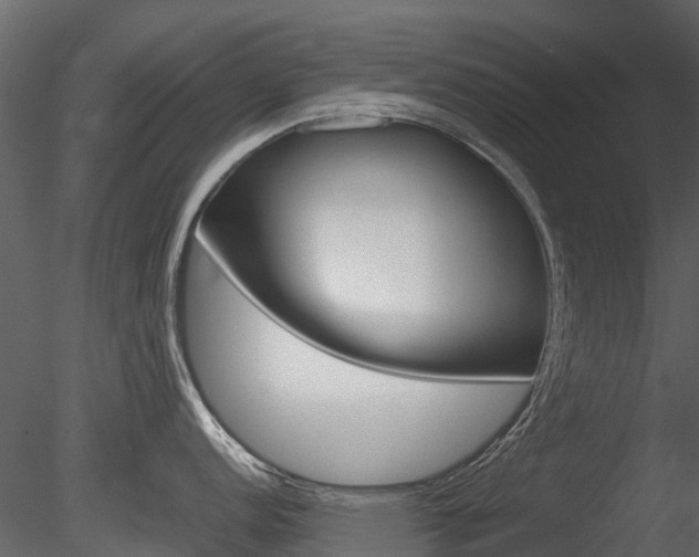 X0000085731152200703160830