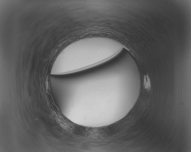 X0000085731155200703160829