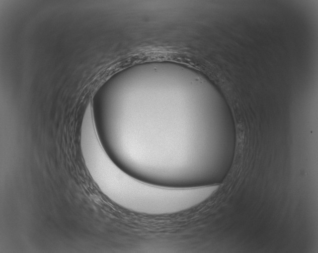 X0000085731157200703160829