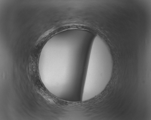 X0000085731159200703160829