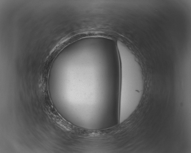 X0000085731160200703160829