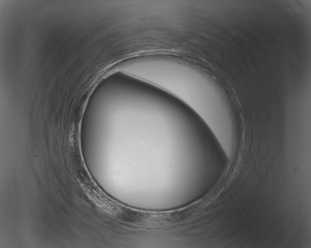 X0000085731161200703160829