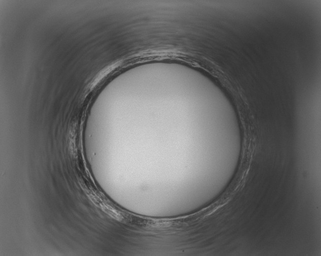 X0000085731162200703160829