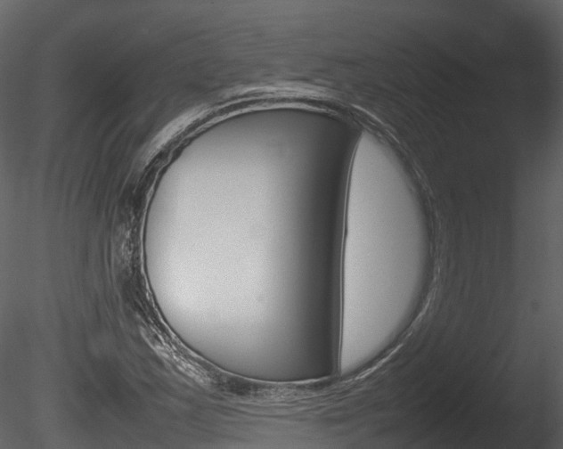 X0000085731163200703160829