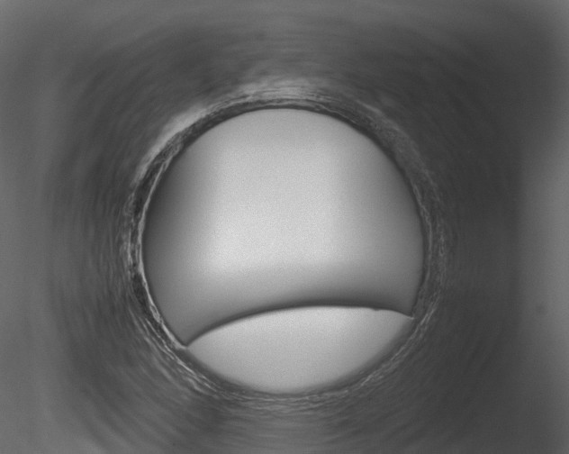 X0000085731166200703160829