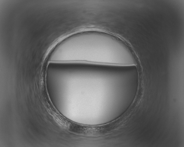 X0000085731167200703160829