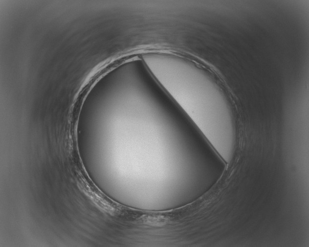 X0000085731168200703160829