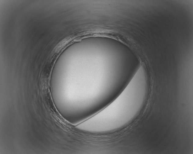 X0000085731169200703160829