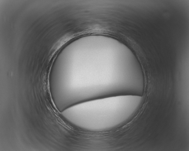 X0000085731170200703160829