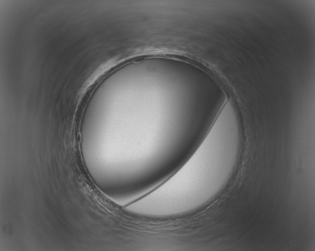 X0000085731173200703160828