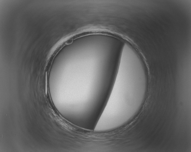 X0000085731175200703160828