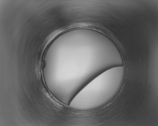 X0000085731178200703160828