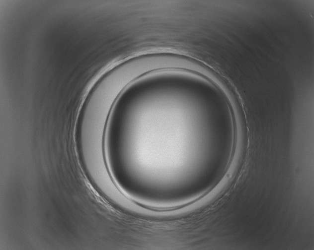 X0000085731181200703160828