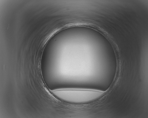 X0000085731185200703160828