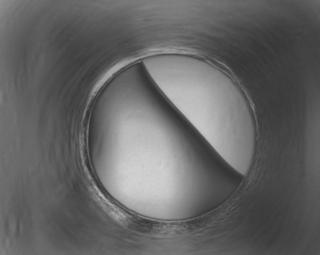 X0000085731187200703160828