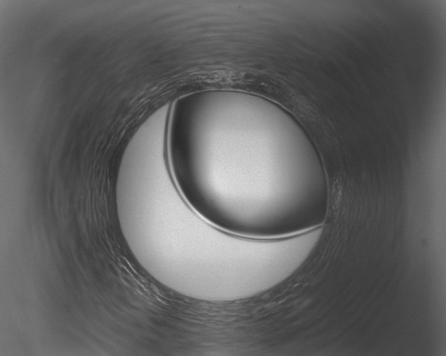 X0000085731202200703160827