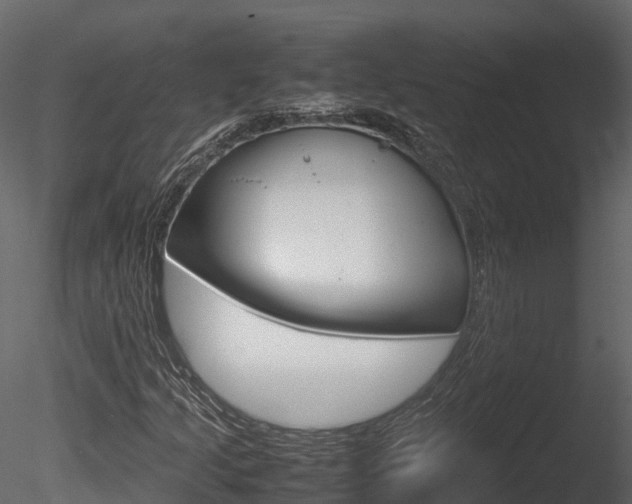 X0000085731205200703160827