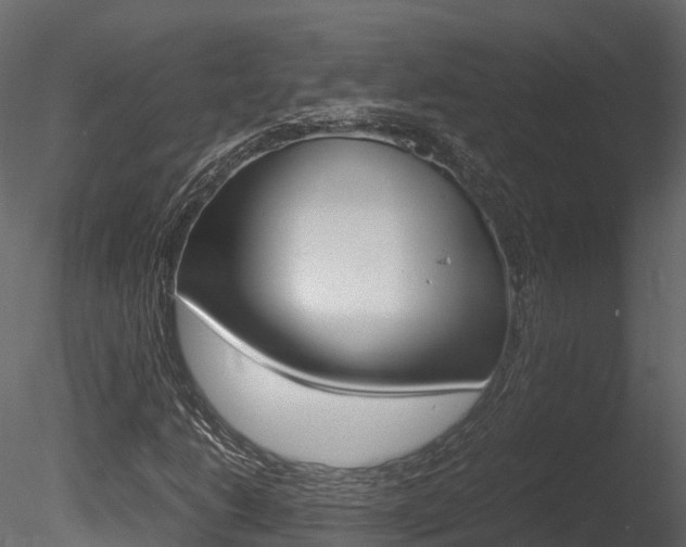 X0000085731206200703160827