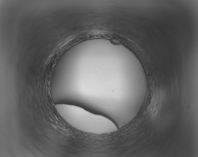 X0000085731207200703160827