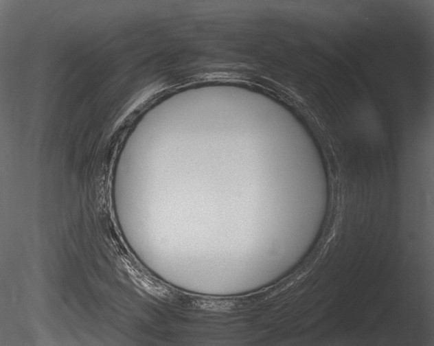 X0000085731211200703160827