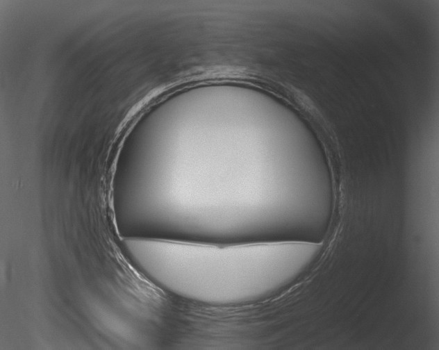 X0000085731212200703160827