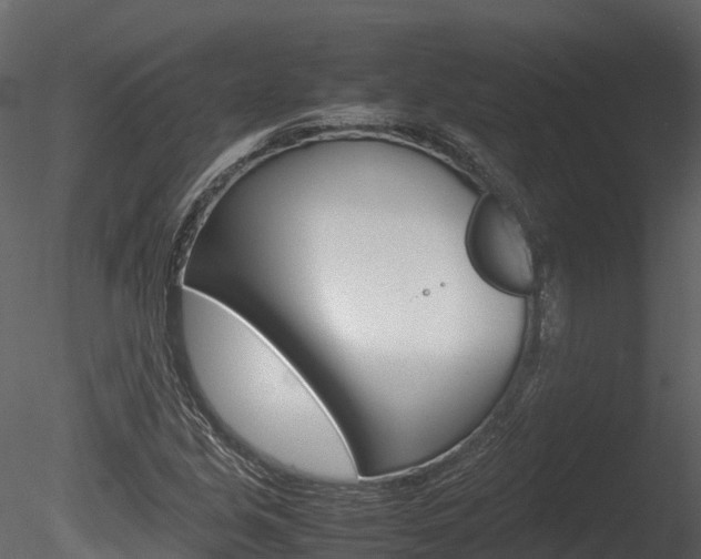 X0000085731213200703160827