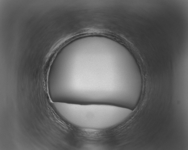 X0000085731215200703160827