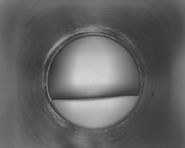 X0000085731216200703160827
