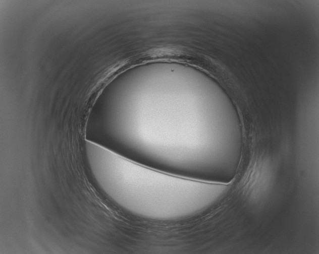 X0000085731217200703160827