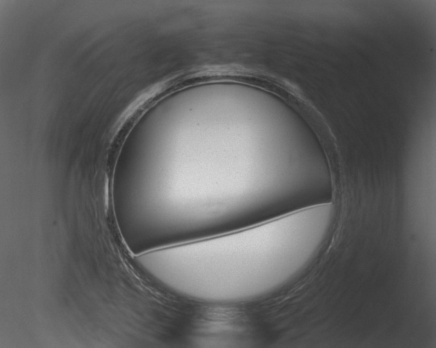 X0000085731221200703160828