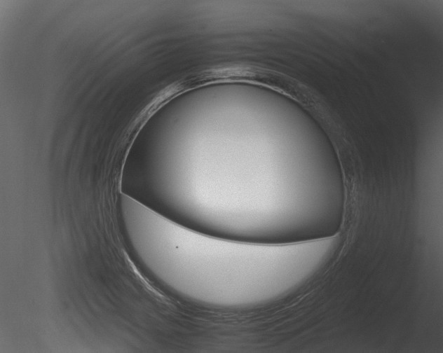 X0000085731225200703160828