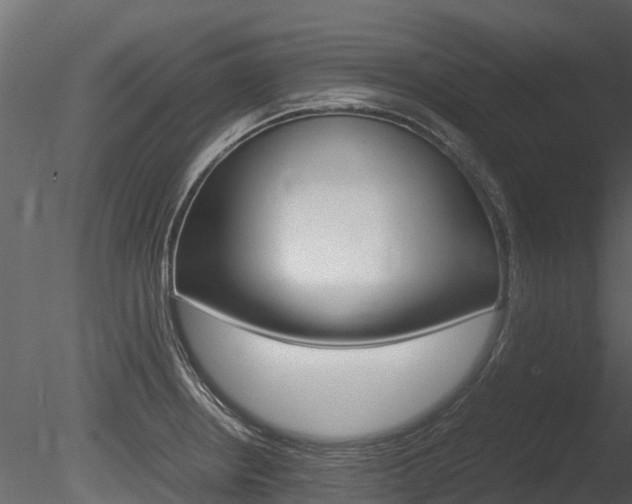 X0000085731234200703160828