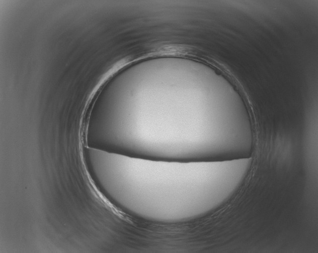 X0000085731235200703160828