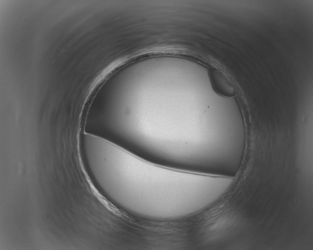 X0000085731237200703160828