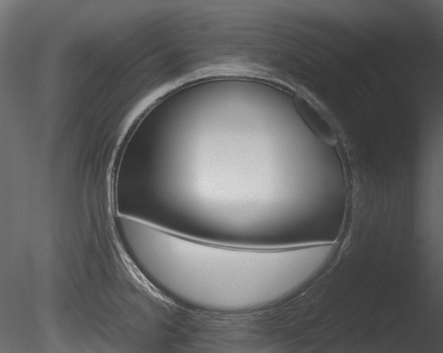 X0000085731238200703160828