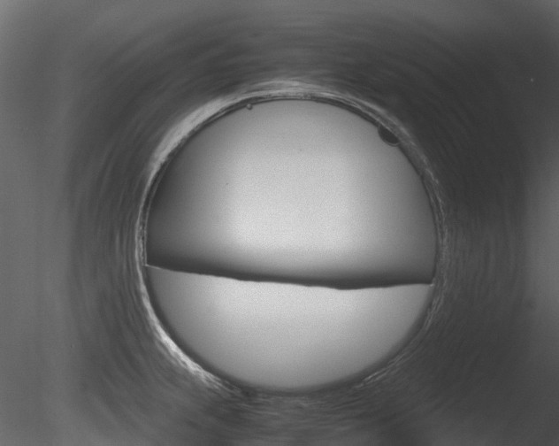 X0000085731239200703160828