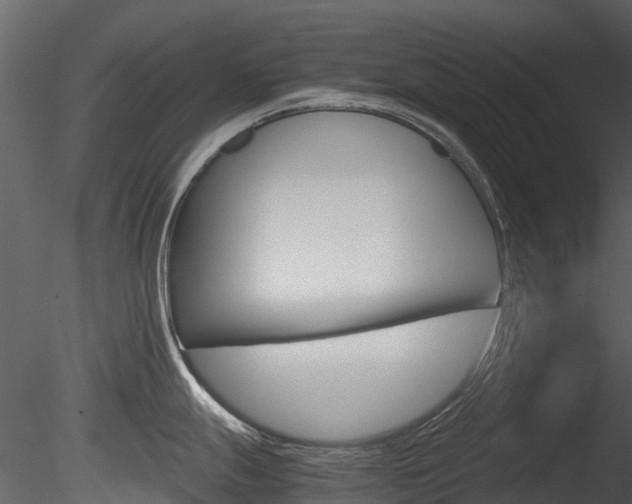 X0000085731247200703160828