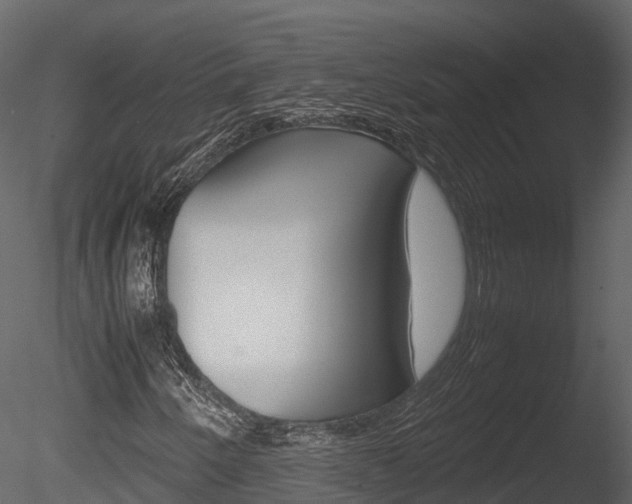 X0000085731250200703160827
