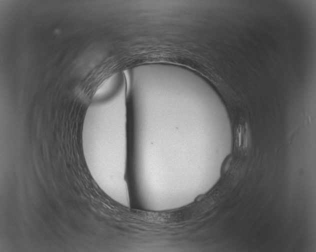 X0000085731251200703160827