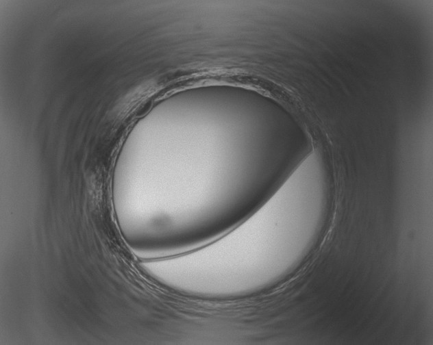X0000085731257200703160827